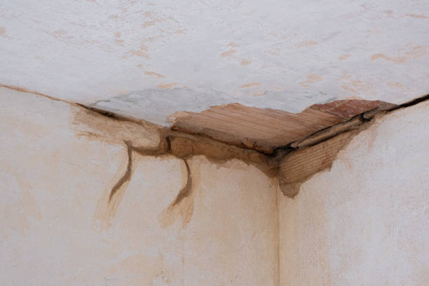 Best Sewage cleanup and water damage restoration  in Rkville, PA