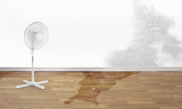 Best Ceiling water damage repair  in Rkville, PA