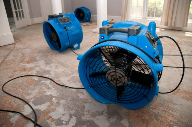 Best Local water damage restoration  in Rkville, PA