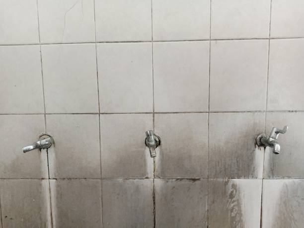 Best Mold removal after water damage  in Rkville, PA