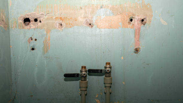 Best Water damage contractors near me  in Rkville, PA