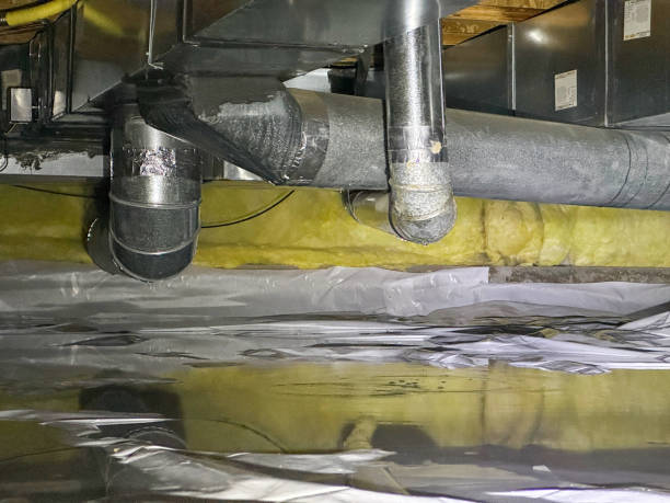 Best Basement water damage restoration  in Rkville, PA