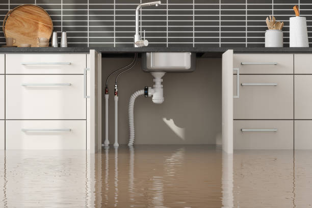 Best Fire Damage Restoration  in Rkville, PA