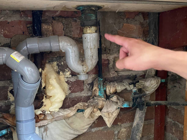 Best Professional water damage repair  in Rkville, PA