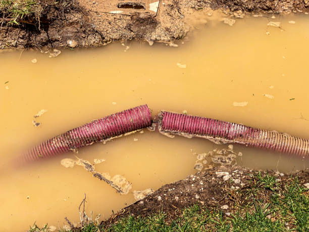 Best Flood restoration services  in Rkville, PA
