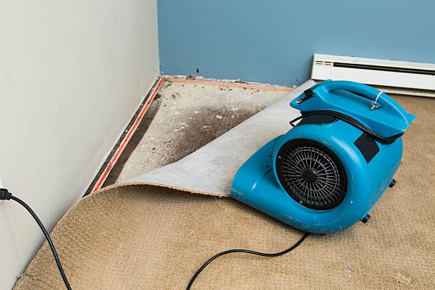 Best 24/7 water damage repair  in Rkville, PA